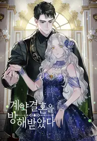 Contract-Marriage-Interrupted_193x278
